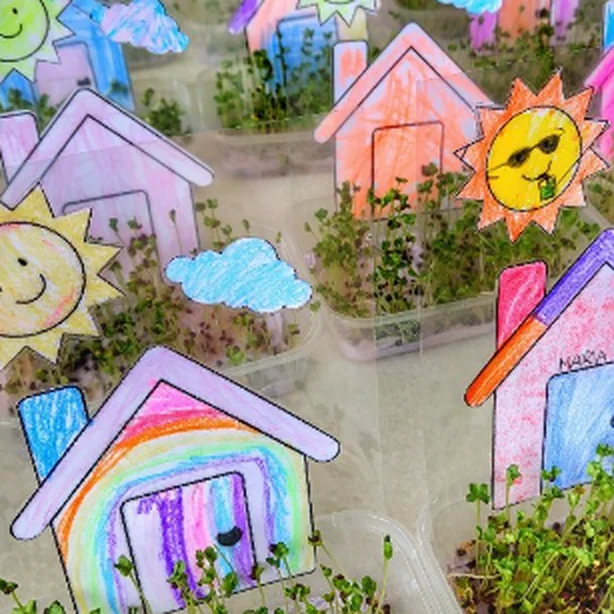 Colourful crayon-drawn houses with mini gardens